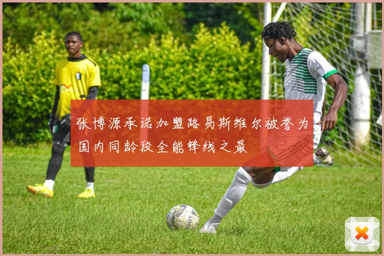 张博源承诺加盟路易斯维尔被誉为国内同龄段全能锋线之最