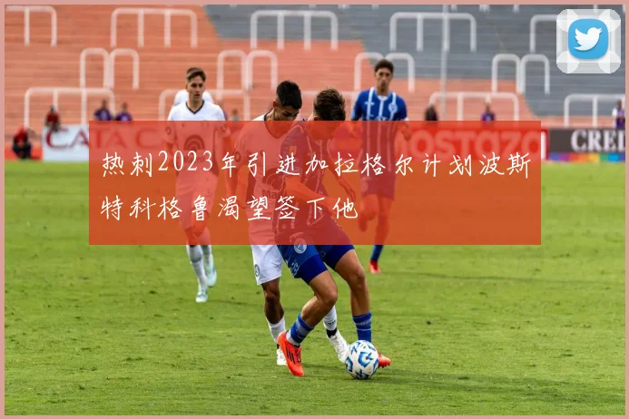 热刺2023年引进加拉格尔计划波斯特科格鲁渴望签下他