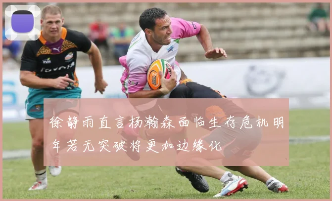徐静雨直言杨瀚森面临生存危机明年若无突破将更加边缘化