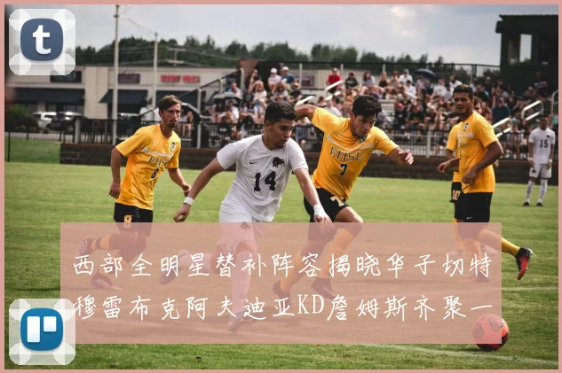 西部全明星替补阵容揭晓华子切特穆雷布克阿夫迪亚KD詹姆斯齐聚一堂